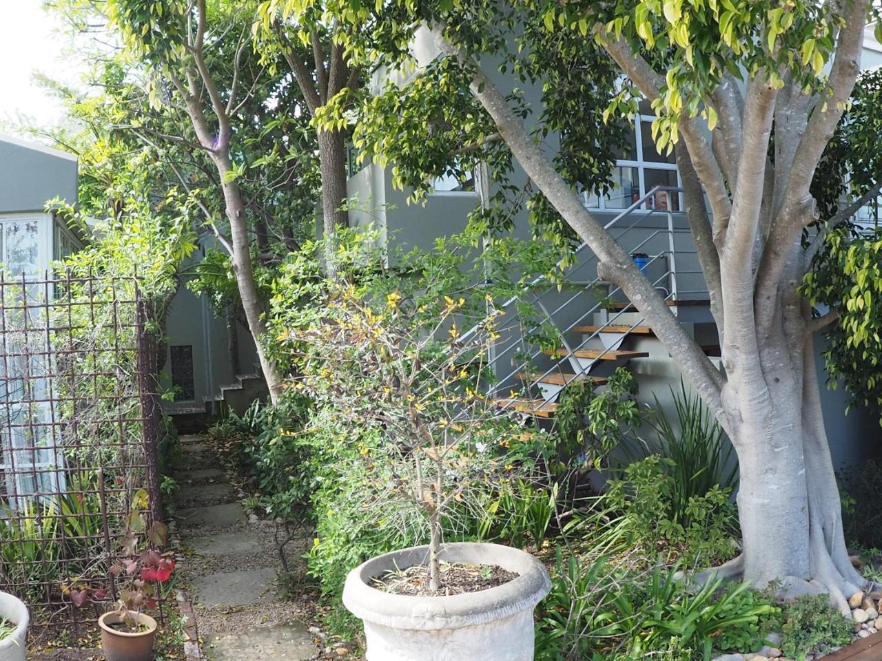 Hillview Boutique Apartments Knysna Exterior foto